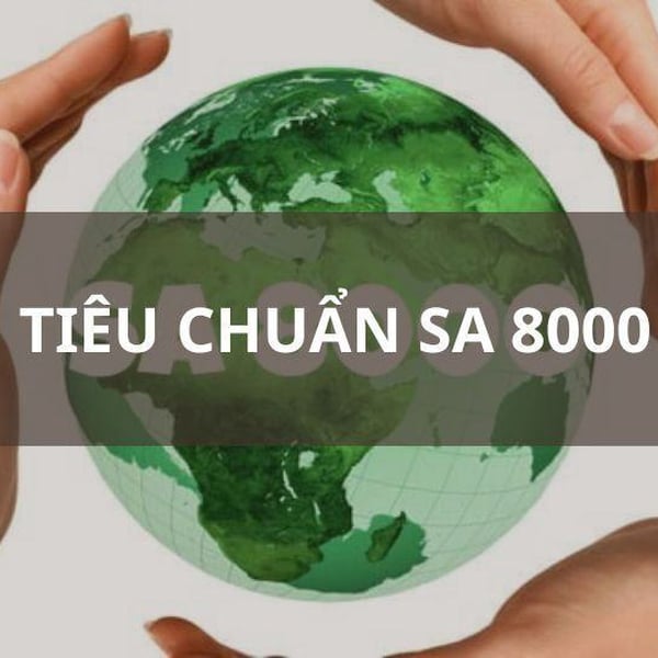 Tiêu chuẩn SA 8000 là gì? Tư vấn Chứng Nhận SA 8000