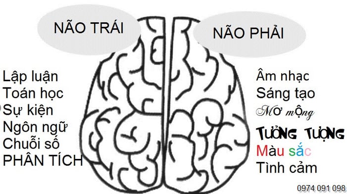 Não hoạt động như thế nào? Não hoạt động như thế nào?
