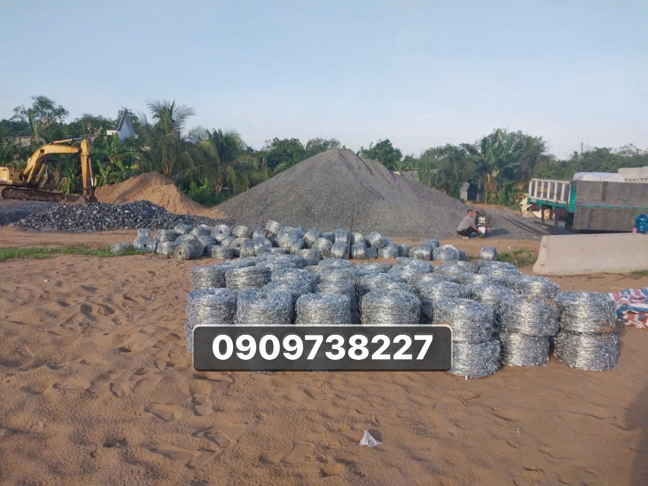 kẽm gai 3.0 ly hôm nay