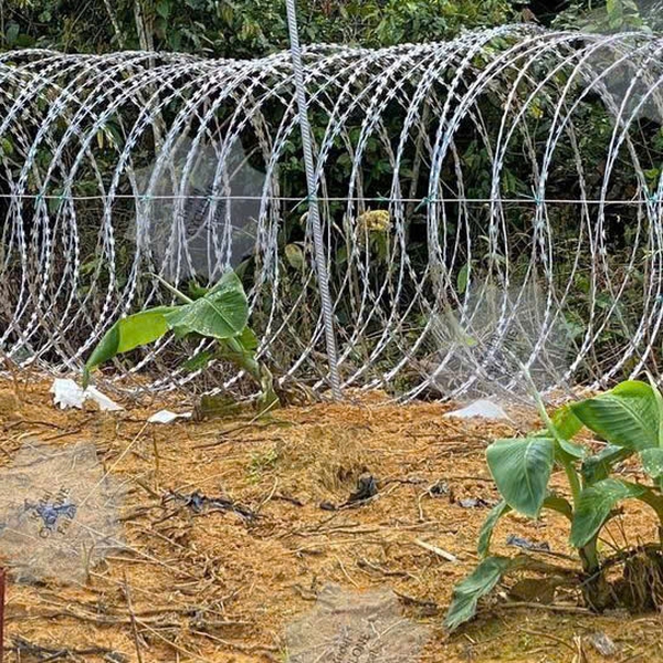 KẼM LƯỠI BÚA D40CM
