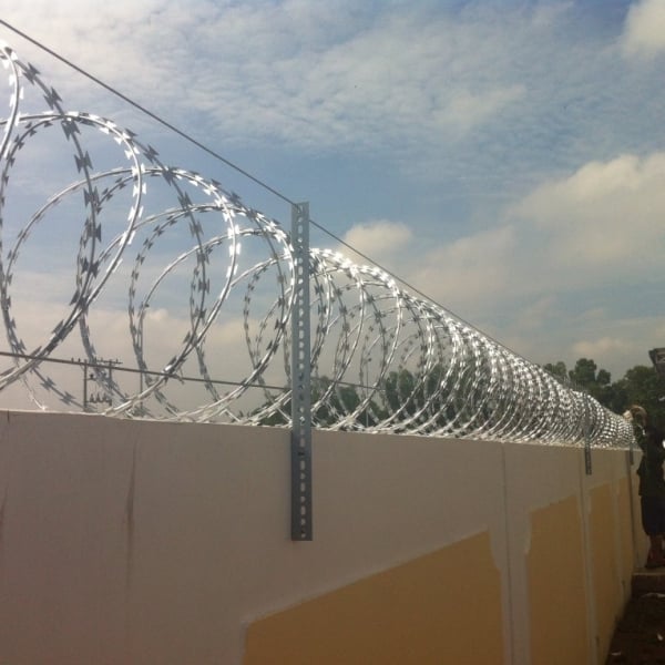 KẼM LƯỠI BÚA D50CM