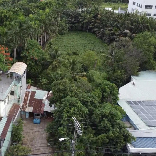 Bán nhà mặt tiền 24 đường Long Thuận, P. Long Phước, TP. Thủ Đức