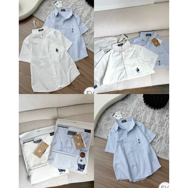 Áo sơ mi nữ tay ngắn thêu nổi có túi vải oxford họa tiết sọc thanh lịch - 002 (1)