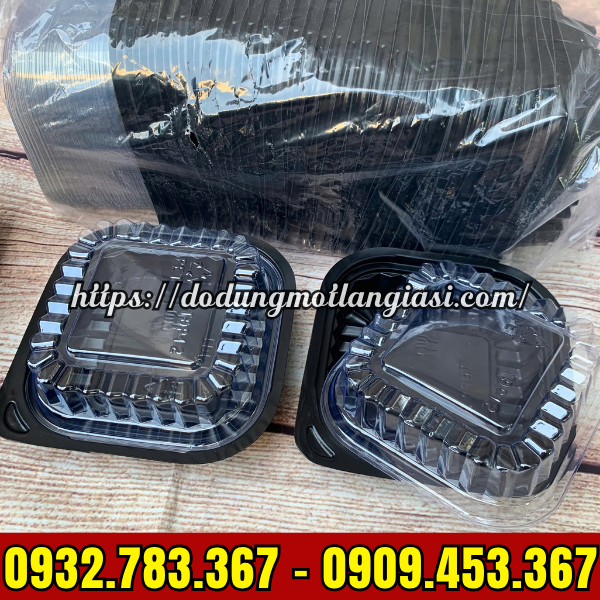 HỘP NHỰA VUÔNG HT12 GIÁ SỈ RẺ TẠI TPHCM HỘP NHỰA VUÔNG HT12 GIÁ SỈ RẺ TẠI TPHCM