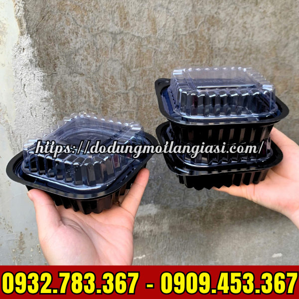 HỘP NHỰA VUÔNG HT12 GIÁ SỈ RẺ TẠI TPHCM HỘP NHỰA VUÔNG HT12 GIÁ SỈ RẺ TẠI TPHCM