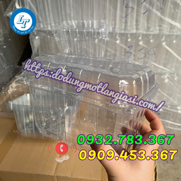 TỔNG KHO ĐỒ NHỰA DÙNG 1 LẦN CÁC LOẠI GIÁ SỈ TPHCM hộp nhựa trong đựng trái cây