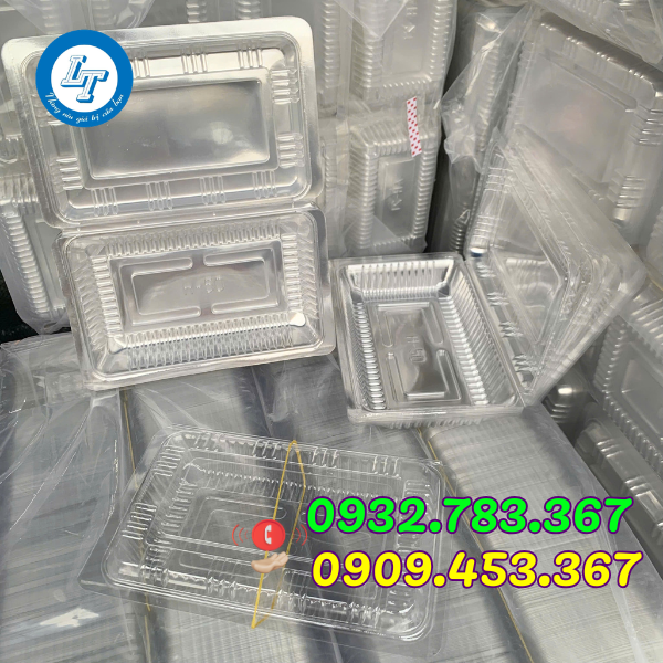 ĐẠI LÝ CHUYÊN SỈ ĐỒ NHỰA DÙNG 1 LẦN UY TÍN TẠI TPHCM hộp nhựa Pet trong suốt