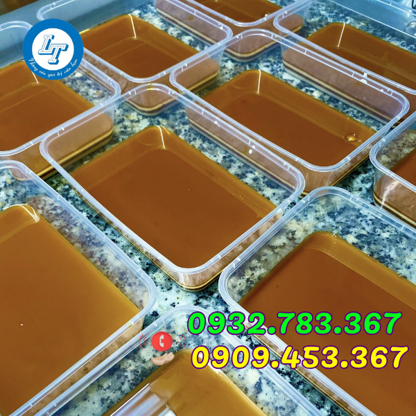 HỘP NHỰA CHỮ NHẬT ĐỰNG THỰC PHẨM GIÁ SỈ RẺ TPHCM HỘP NHỰA CHỮ NHẬT ĐỰNG THỰC PHẨM GIÁ SỈ RẺ TPHCM