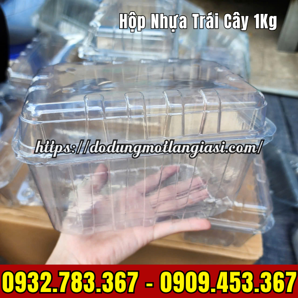 HỘP ĐỰNG TRÁI CÂY 1KG