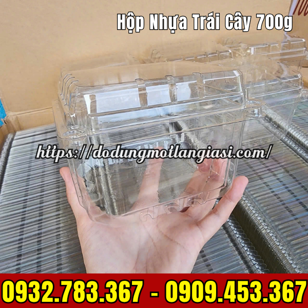HỘP ĐỰNG TRÁI CÂY 700GR