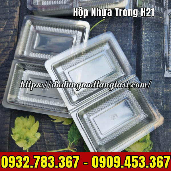 HỘP NHỰA TRONG H21