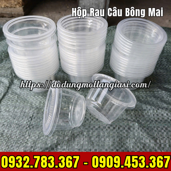 LY RAU CÂU BÔNG MAI