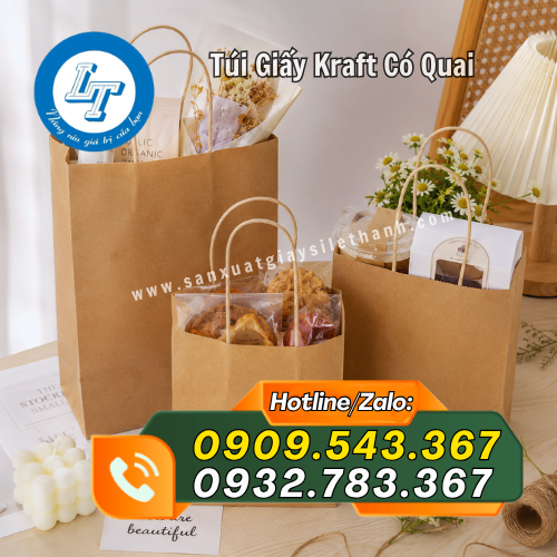 túi giấy kraft có quai đựng quà lưu niệm túi giấy kraft có quai đựng quà lưu niệm