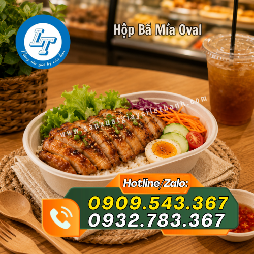 bán sỉ hộp bã mía oval đựng thức ăn giá rẻ bán sỉ hộp bã mía oval đựng thức ăn giá rẻ