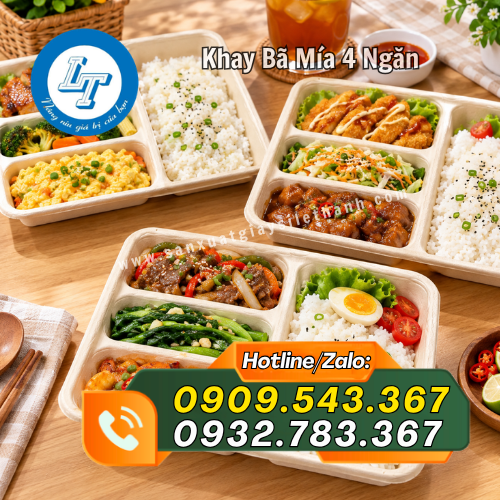 cung cấp khay bã mía 4 ngăn giá sỉ cung cấp khay bã mía 4 ngăn giá sỉ