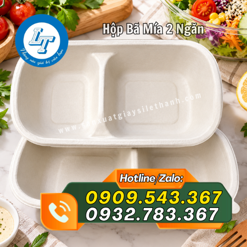 hộp bã mía 2 ngăn đựng đồ ăn hộp bã mía 2 ngăn đựng đồ ăn