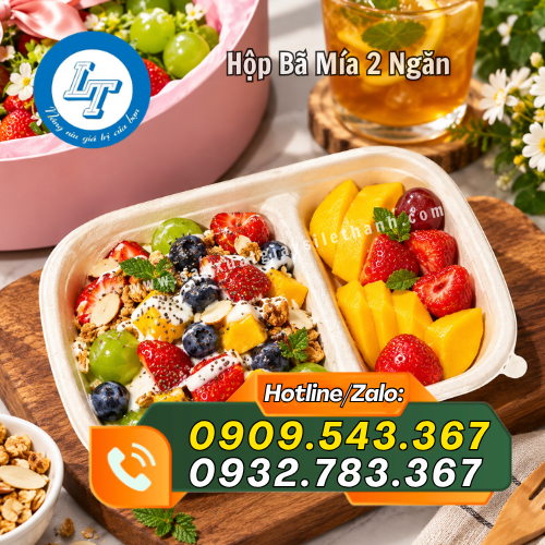 hộp bã mía 2 ngăn đựng thức ăn đẹp mắt hộp bã mía 2 ngăn đựng thức ăn đẹp mắt