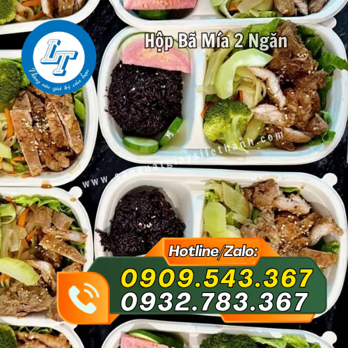 hộp bã mía 2 ngăn giá sỉ rẻ chất lượng hộp bã mía 2 ngăn giá sỉ rẻ chất lượng