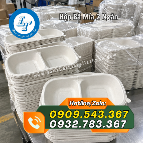 hộp bã mía 2 ngăn giá sỉ rẻ sẵn số lượng hộp bã mía 2 ngăn giá sỉ rẻ sẵn số lượng