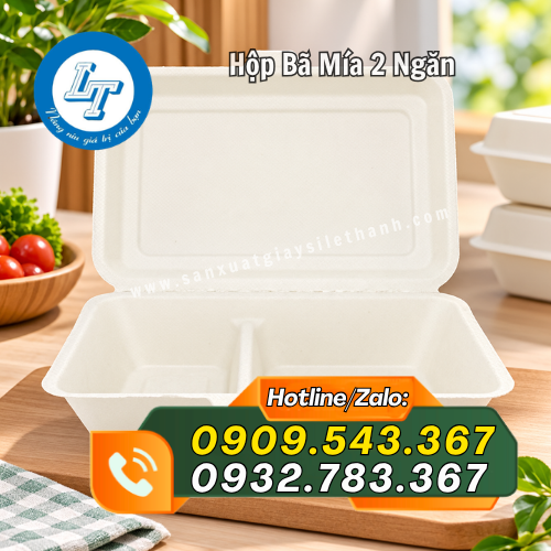 hộp bã mía 2 ngăn nắp liền hộp bã mía 2 ngăn nắp liền