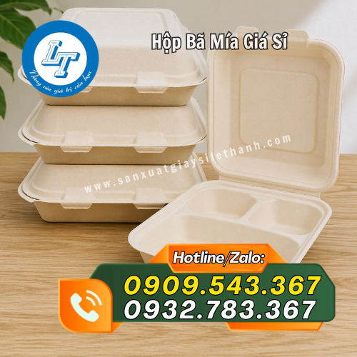 hộp bã mía 3 ngăn đựng thức ăn hộp bã mía 3 ngăn đựng thức ăn