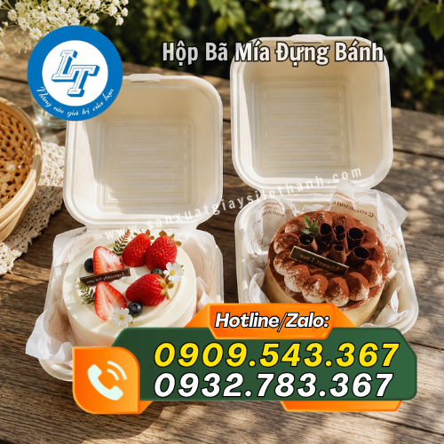 hộp bã mía đựng bánh kem hamburger đẹp mắt hộp bã mía đựng bánh kem hamburger đẹp mắt