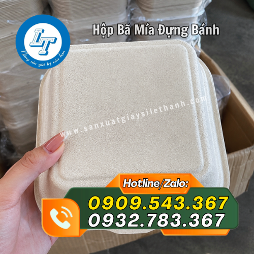 hộp bã mía đựng bánh kem hamburger giá sỉ rẻ theo số lượng hộp bã mía đựng bánh kem hamburger giá sỉ rẻ theo số lượng