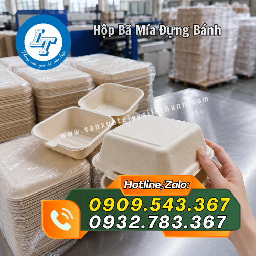 hộp bã mía đựng bánh kem hamburger thiết kế gấp gọn hộp bã mía đựng bánh kem hamburger thiết kế gấp gọn