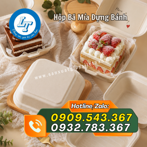 hộp bã mía đựng bánh kem hamburger tiện dụng hộp bã mía đựng bánh kem hamburger tiện dụng