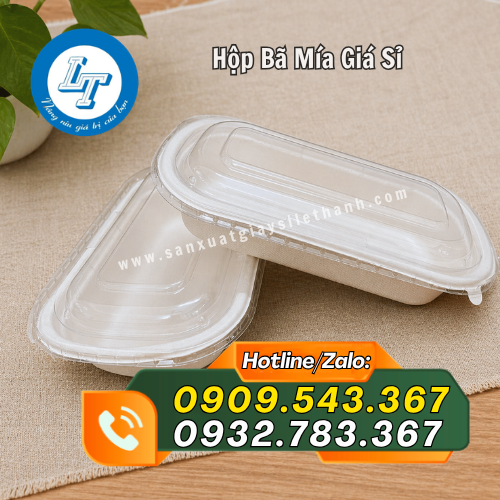 hộp bã mía nắp rời tiện dụng hộp bã mía nắp rời tiện dụng