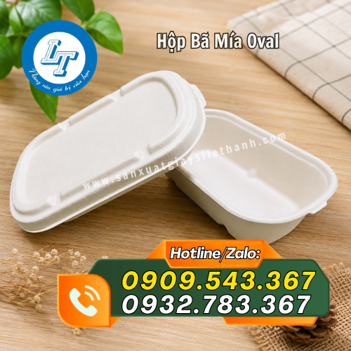 hộp bã mía oval chất lượng hộp bã mía oval chất lượng