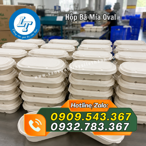hộp bã mía oval dễ xếp chồng hộp bã mía oval dễ xếp chồng