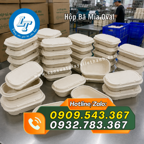 hộp bã mía oval giá sỉ rẻ sẵn số lượng hộp bã mía oval giá sỉ rẻ sẵn số lượng