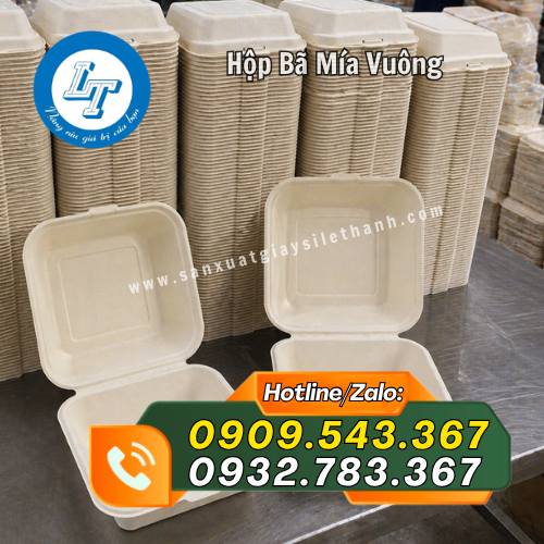 hộp bã mía vuông giá sỉ rẻ sẵn kho hộp bã mía vuông giá sỉ rẻ sẵn kho