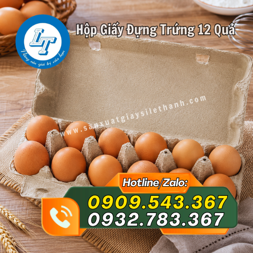 hộp giấy đựng trứng 12 quả tiện lợi hộp giấy đựng trứng 12 quả tiện lợi