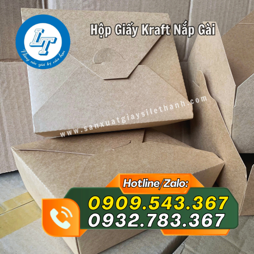 hộp giấy kraft nắp gài cấu tạo tinh tế hộp giấy kraft nắp gài cấu tạo tinh tế