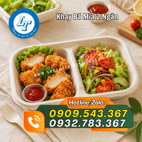 khay bã mía 2 ngăn đựng đồ ăn bắt mắt khay bã mía 2 ngăn đựng đồ ăn bắt mắt