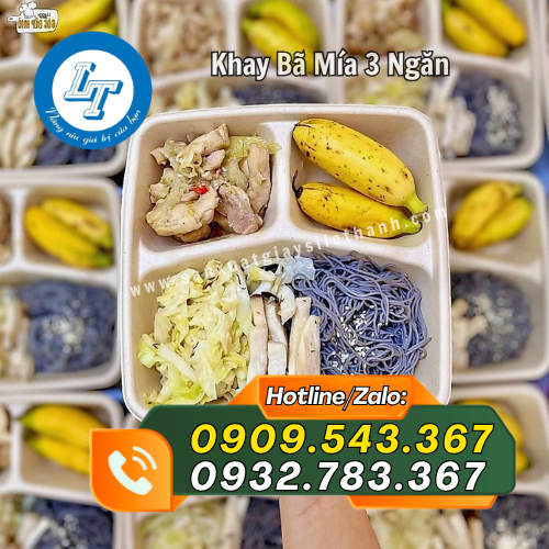 khay bã mía 3 ngăn đựng thức ăn đẹp mắt khay bã mía 3 ngăn đựng thức ăn đẹp mắt