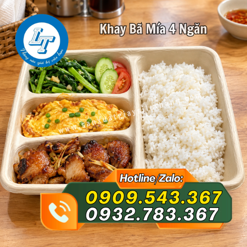 khay bã mía 4 ngăn đựng thức ăn đẹp mắt khay bã mía 4 ngăn đựng thức ăn đẹp mắt