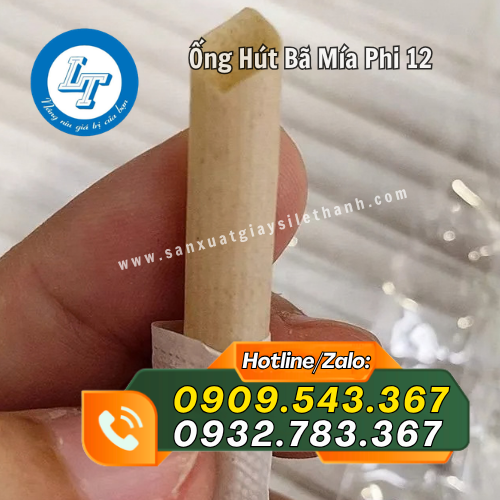 ống hút bã mía phi 12 bọc màng giấy ống hút bã mía phi 12 bọc màng giấy