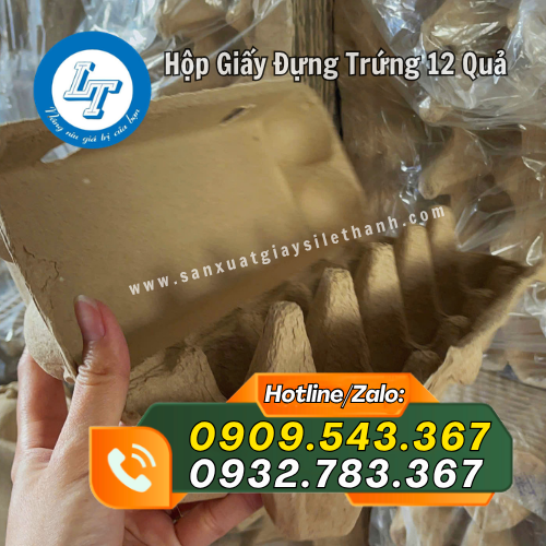 thiết kế hộp giấy đựng trứng 12 quả tiện dụng thiết kế hộp giấy đựng trứng 12 quả tiện dụng