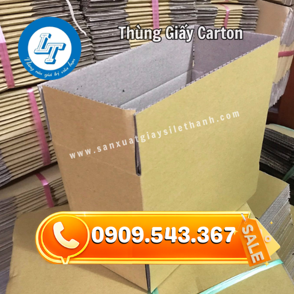 THÙNG GIẤY CARTON