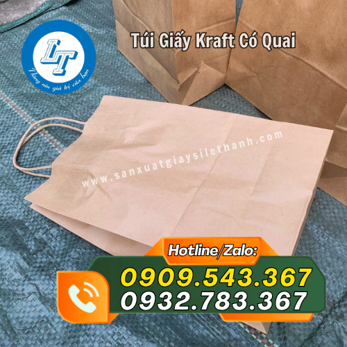 túi giấy kraft có quai màu đơn giản túi giấy kraft có quai màu đơn giản