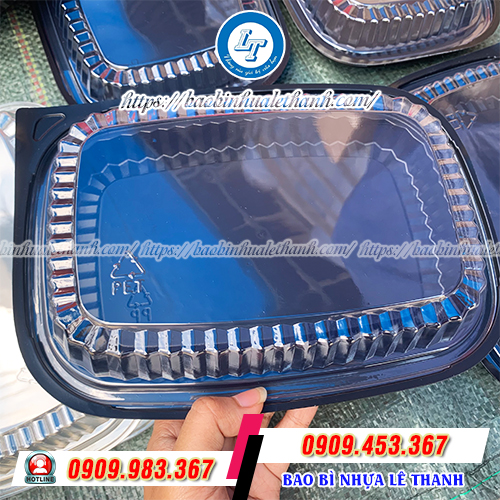 Hộp nhựa đế đen HT203 Hộp nhựa đế đen HT203