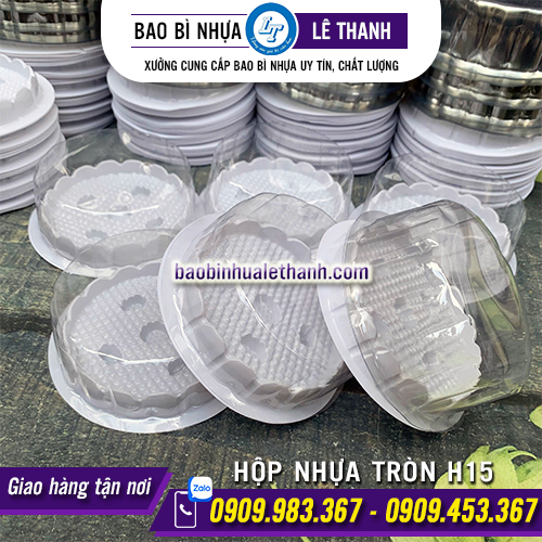 Hộp nhựa đựng bánh H15 chất lượng