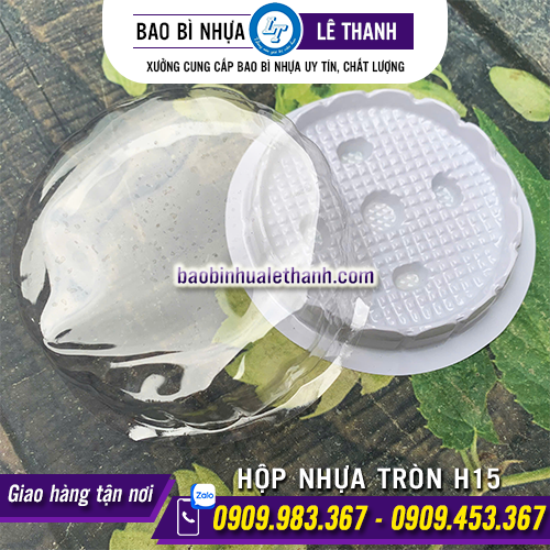 Hộp nhựa đựng bánh H15 đế trắng