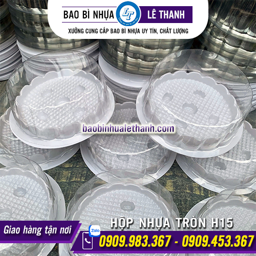 Hộp nhựa đựng bánh H15 giá sỉ