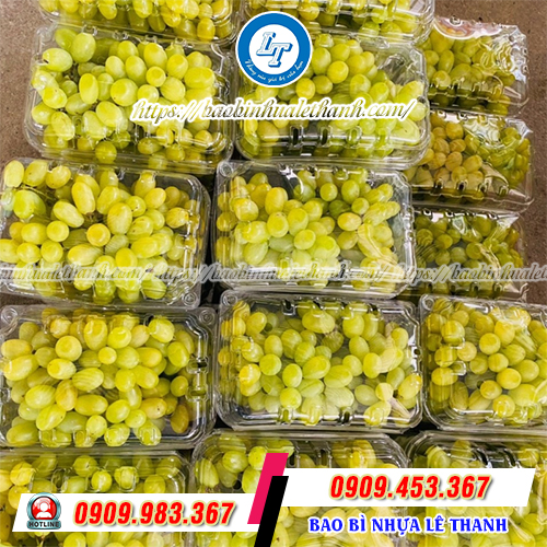 Hộp nhựa đựng trái cây Hộp nhựa đựng trái cây