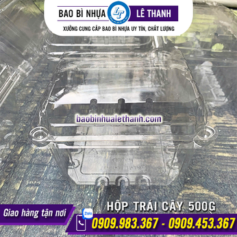 HỘP ĐỰNG TRÁI CÂY 500G