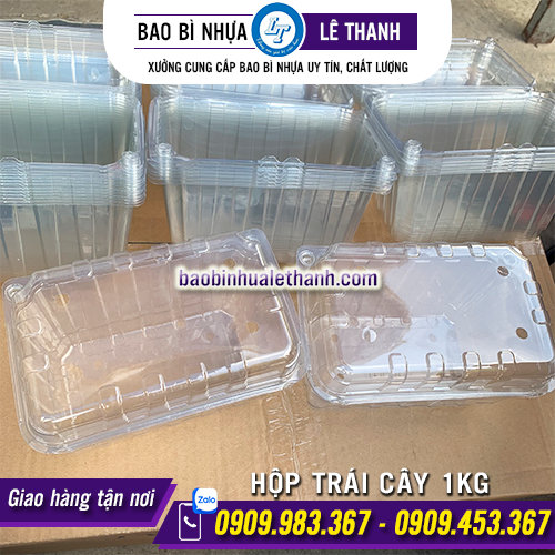 HỘP ĐỰNG TRÁI CÂY 1KG